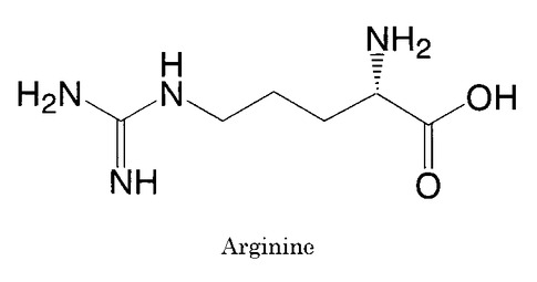 アルギニン
